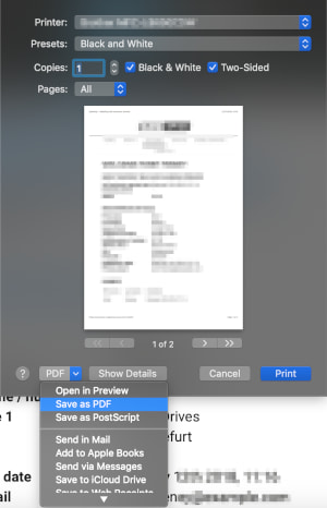 Safari print configuration